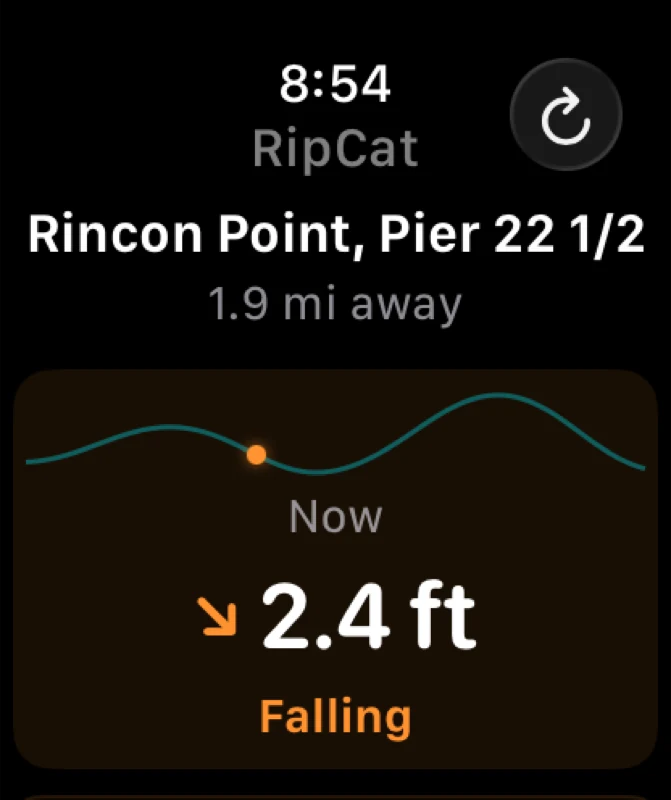 RipCat on Apple Watch: Rincon Point tide sparkline, 2.4 ft and falling